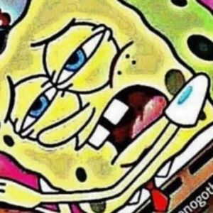 Meet your Posher, Sierra